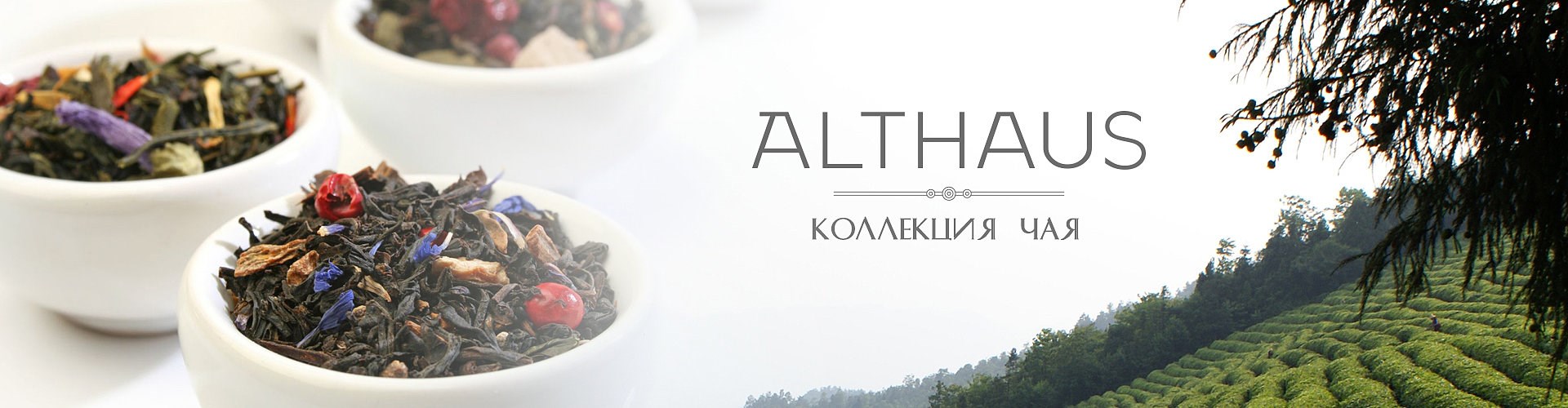 Чай Althaus
