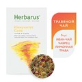 Чайный напиток Herbarus, Иммунитет Сила 4607122931555 - фото 11233