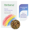 Чайный напиток Herbarus, Тонус Настроение 4607122931562 - фото 11238