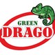 Green Drago Green Drago