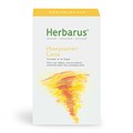 Чайный напиток Herbarus, Иммунитет Сила 4607122931555 - фото 11235