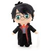 Harry Potter Мягкая игрушка Гарри Поттер 20 см 13701 13701 - фото 7786